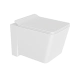 EWC RIMLESS BLIND INSTALLATION WALL HUNG - JAQUAR SWARE -  ( WHITE - KUBIX PRIME - 525x380 mm - 21inchX15.2inch )